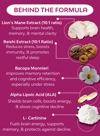 NeuroFuel & Focus Mushroom Complex