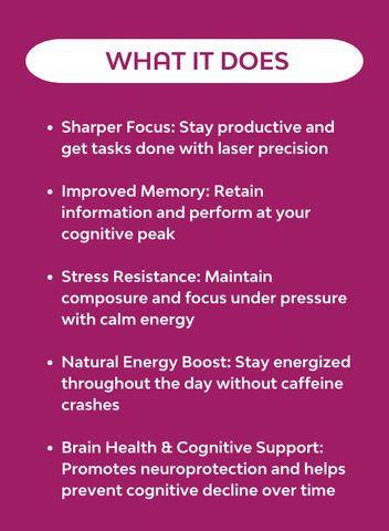 NeuroFuel & Focus Mushroom Complex