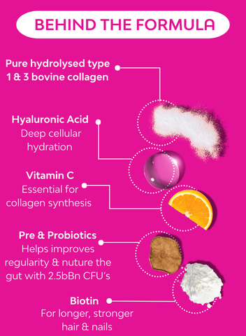 Description on how key ingredients in Hello Health Collagen such as biotin, pre & probiotics, vitamin C and hyaluronic acid help fight the signs of aging, hair loss and gut issues 