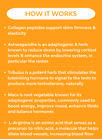 A list describing how the key ingredients work synergistically to boost testosterone naturally  