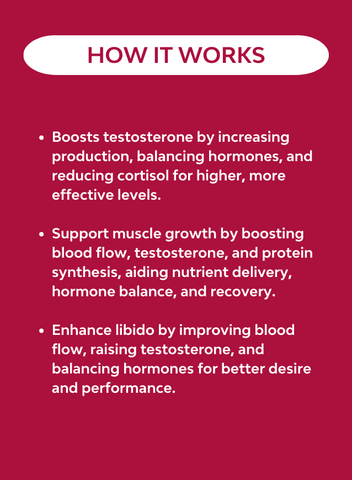 An explanation of how Hello Health's natural testosterone booster boost libido, muscle growth and balances hormones 