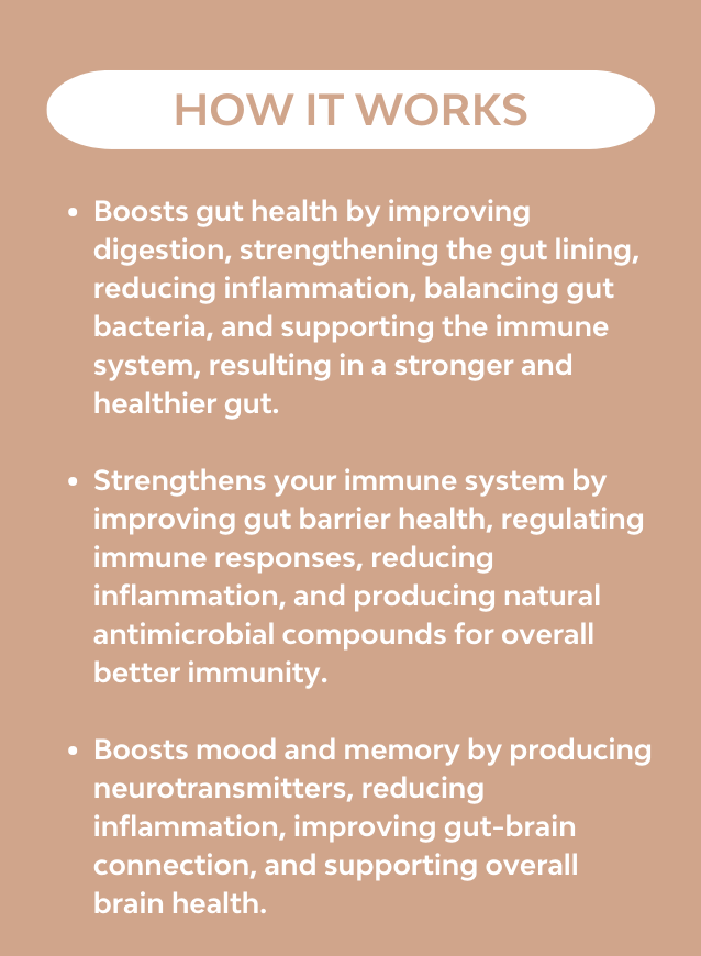 Description of how Hello Health's Pre & Probiotics forte assists with moods, immunity and gut issues 