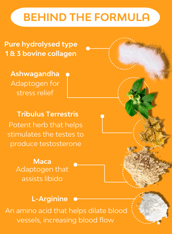 A description of how key ingredients such as L-Arginine, Tribulus, Maca, ashwagandha help naturally boost testosterone in a convenient collagen