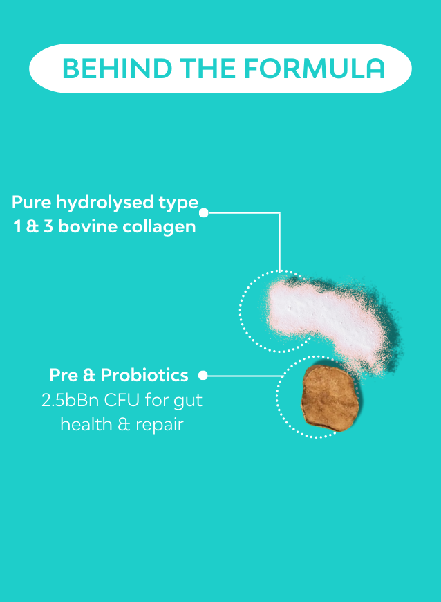 An image showing the key ingredients in collagen with pre & probiotics 