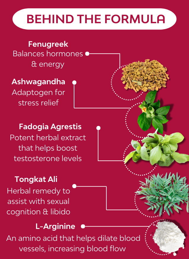 Description of the herbs that naturally boost testosterone like fadogia, tongkat ali, fenugreek, Ashwangandha and amino acid L-Arginine